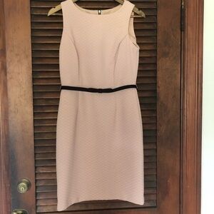 The Limited Light Pink Textured Belted Sleeveless Shift Dress Size 6